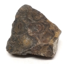Stromatolit